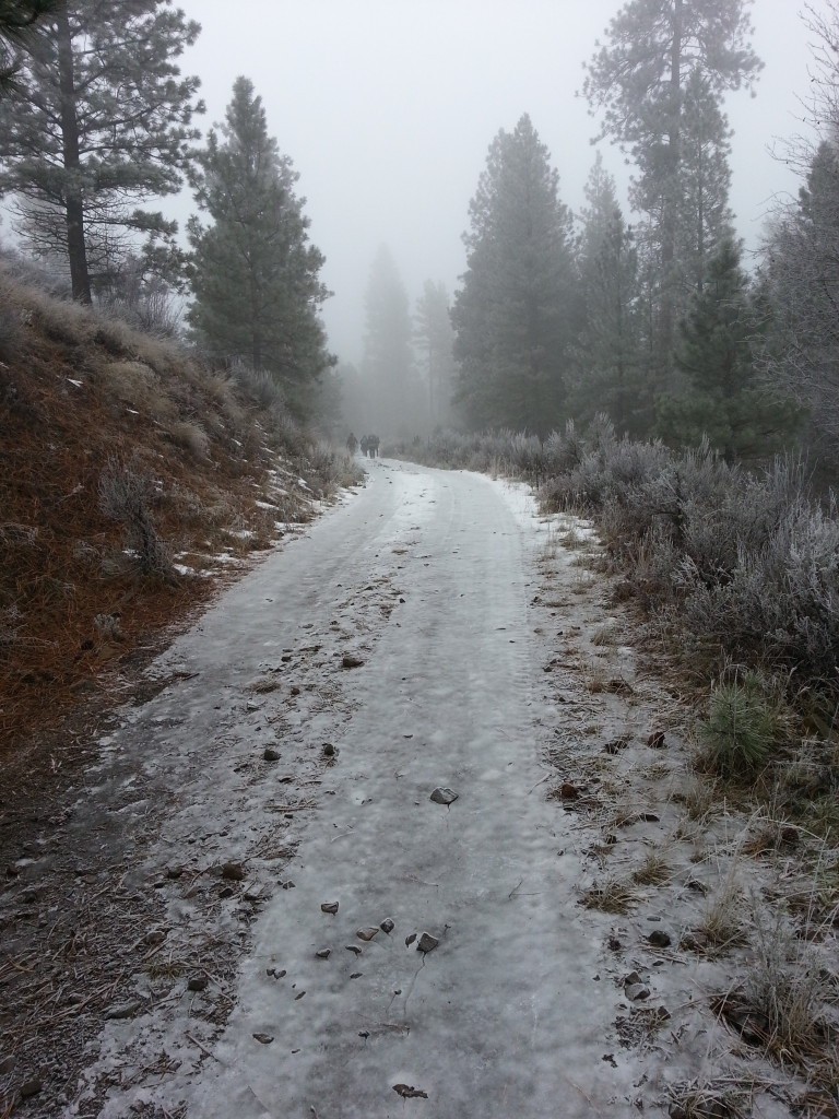 Icy trails.  This is why we require ice traction on hikes.  I had YakTrax.